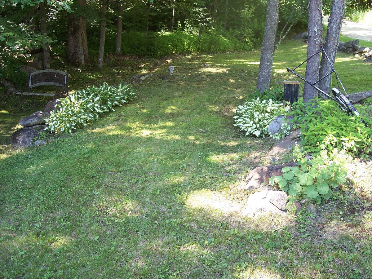 Hummingbird Hill Bed & Breakfast Stoddard Exterior photo
